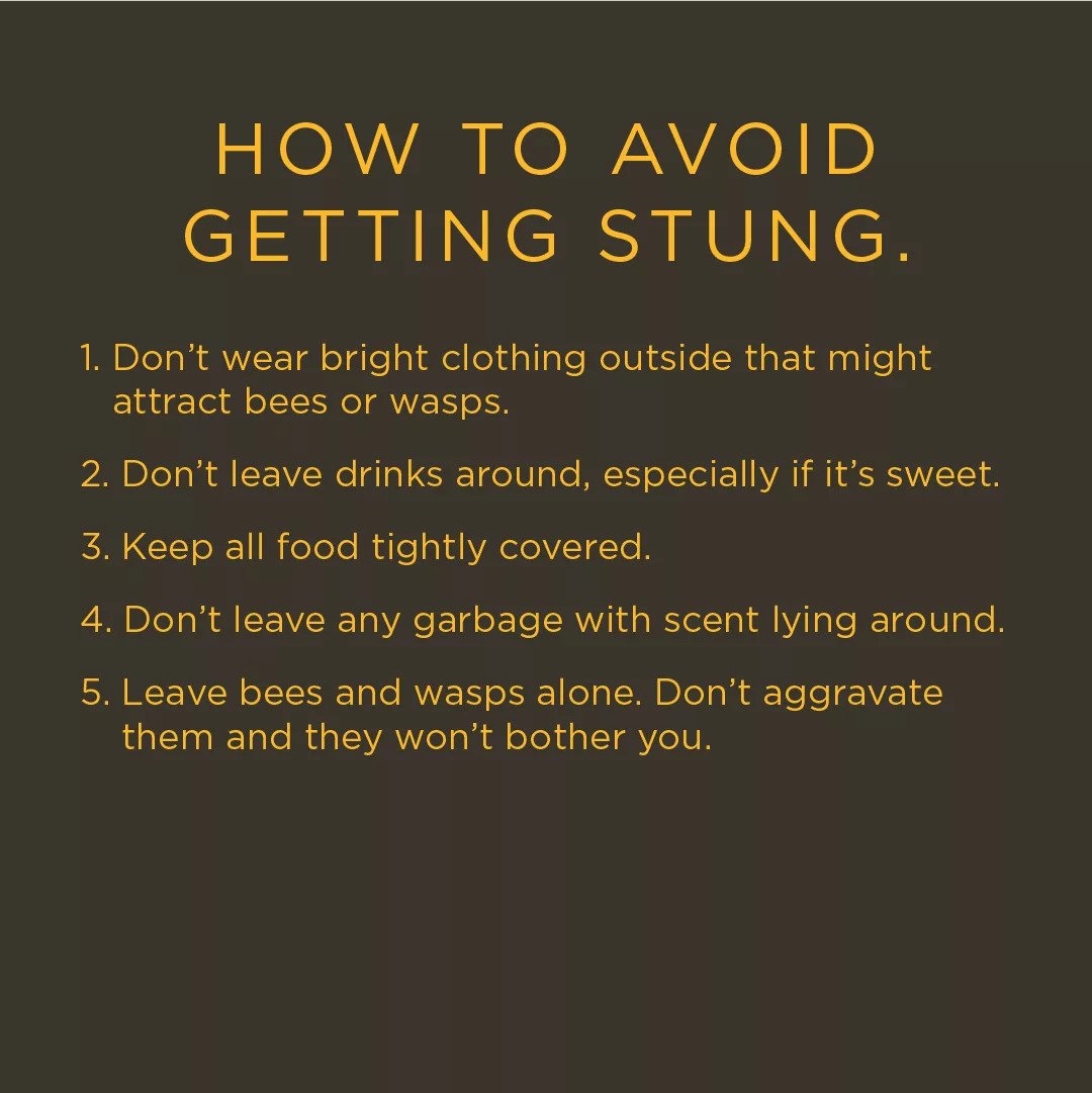 How to avoid getting stung